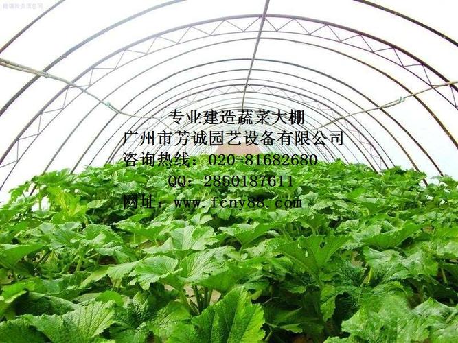 广州园艺温室大棚-广东温室大棚-芳诚品牌