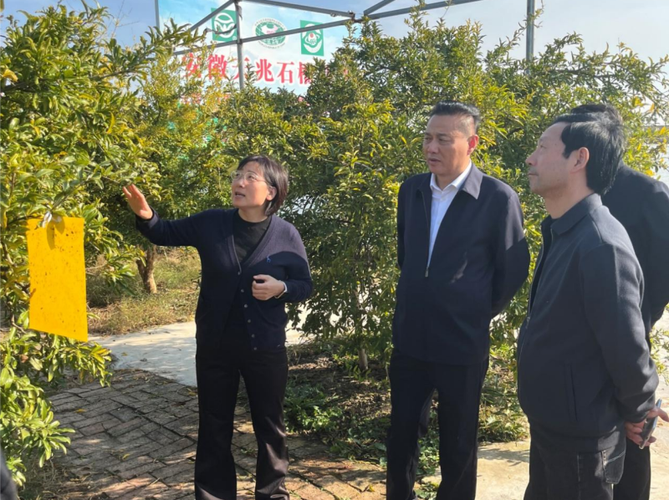 农业农村部园艺作物种质创制与利用重点实验室开展果树生产技术专家