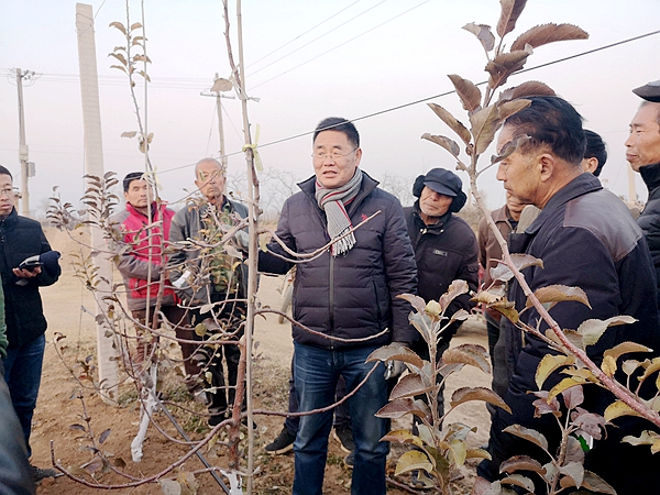 【园艺学院】苹果专家田间地头服务果农