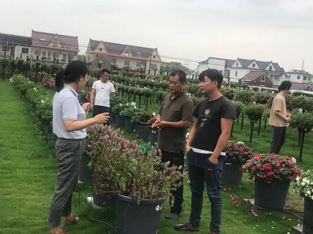 崇明有个好学校,毕业生已近5000人