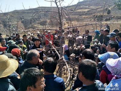 秦安县举办2019年春季科技扶贫培训班(图)